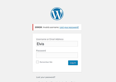 WordPress Password