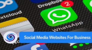 Social Media Websites For Business